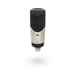 Sennheiser MK 4 - Perspektive