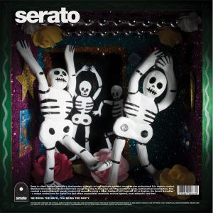 240177 Serato 2x12" Mexico Vinyl Pressung - Anwendungsbild