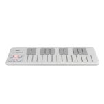 Korg nanoKey 2 white - Perspektive