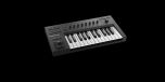 241692 Native Instruments Komplete Kontrol A25 - Perspektive