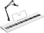 Korg Liano LIVE!