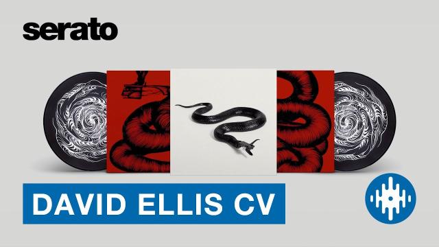 David Ellis Control Vinyl